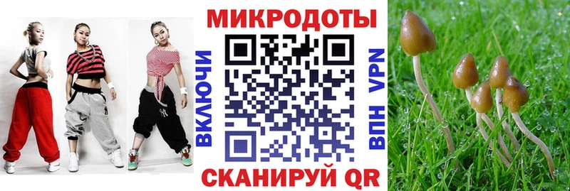 Псилоцибиновые грибы Cubensis  Купить где  Урус-Мартан 